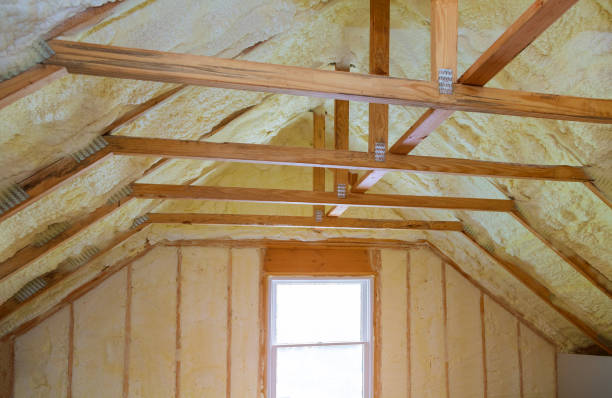 Best Cellulose Insulation in Goodman, MO